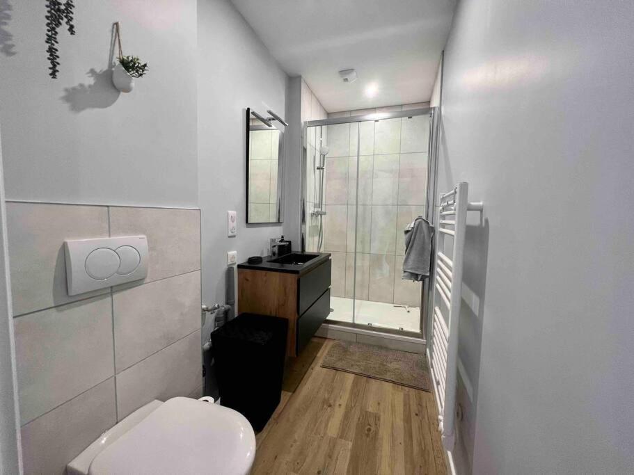 Appartement Climatise 4 Personnes / Centre-Ville Besançon Eksteriør bilde